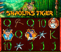 Shaolin Tiger